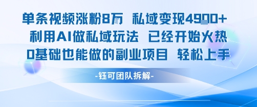 单条视频私域变现4.9k+利用AI做私域玩法 已经开始火热0基础也能做的副业项目轻松上手-圆梦资源网