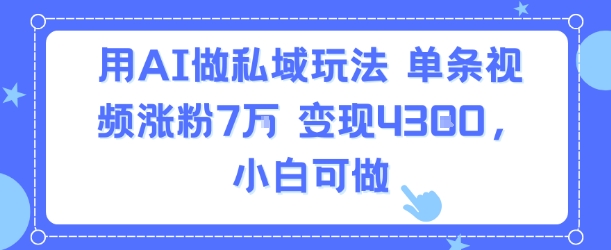 用AI做私域玩法，单条视频涨粉7W变现4.3k，小白可做-圆梦资源网
