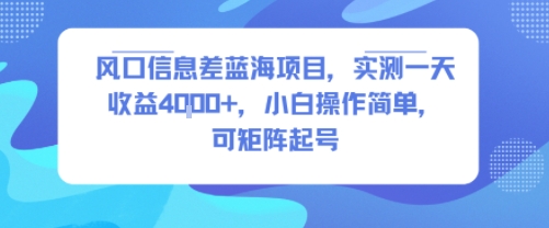 风口信息差蓝海项目，实测一天收益4k+，小白操作简单，可矩阵起号-圆梦资源网