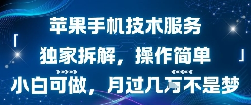 苹果手机技术服务，独家拆解，操作简单，小白可做，月过1W不是梦-圆梦资源网