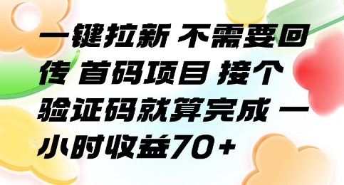 一键拉新 不需要回传 首码项目 接个验证码就算完成 一小时收益70+【揭秘】-圆梦资源网