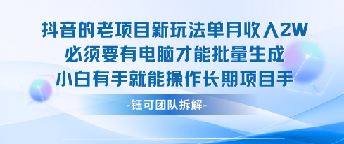 老项目新玩法单月收入2W小白有手就能操作长期项目-圆梦资源网