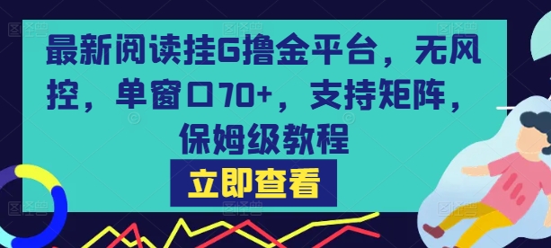最新阅读挂G撸金平台，无风控，单窗口70+，支持矩阵，保姆级教程【揭秘】-圆梦资源网