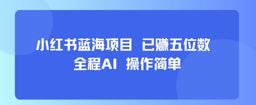 小红书蓝海项目，全程AI，操作简单，已挣五位数-圆梦资源网
