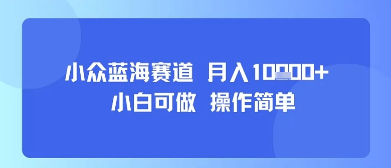 小众蓝海赛道，小白可做，操作简单，每天30分钟，月入1W+-圆梦资源网