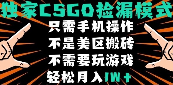 CSGO自动捡漏项目，最新独家玩法，不是美区搬砖，不需要了解和玩游戏，新手小白轻松月入1W+【揭秘】-圆梦资源网