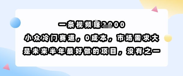 一条视频挣1k，小众冷门赛道，0成本，市场需求大，是未来半年最好做的项目，没有之一-圆梦资源网