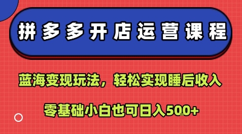 拼多多开店运营课程：蓝海变现玩法，轻松实现睡后收入，零基础小白也可日入5张-圆梦资源网
