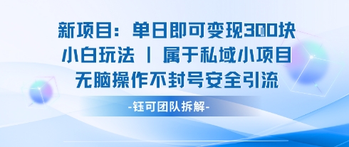 新项目单日即可变现3张的小白玩法无脑操作不封号安全引流-圆梦资源网