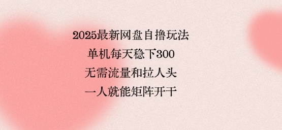 2025最新网盘自撸玩法，单机每天稳下3张，无需流量和拉人头，一个人就可轻松矩阵，全网独一份【揭秘】-圆梦资源网