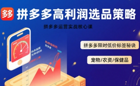 拼多多选品暴利技术实战课，拼多多高利润选品策略，拼多多限时低价标签秘诀-圆梦资源网