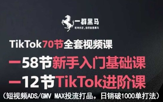 TikTok全套视频课，新手入门+进阶课，短视频ADS-GMV MAX投流打品，日销破1000单打法-圆梦资源网