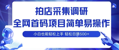 拍店采集调研，全网首码项目，简单易操作， 小白也能轻松上手，多账号操作，轻松日入5张【揭秘】-圆梦资源网