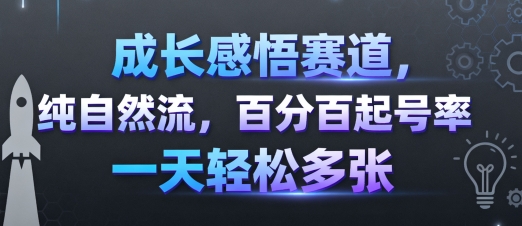 成长感悟赛道，纯自然流，百分百起号率 一天轻松多张-圆梦资源网