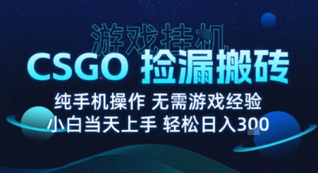 8月最新游戏搬砖，CSGO纯挂G，不需要玩游戏，实现真挂G，月入1W+【揭秘】-圆梦资源网