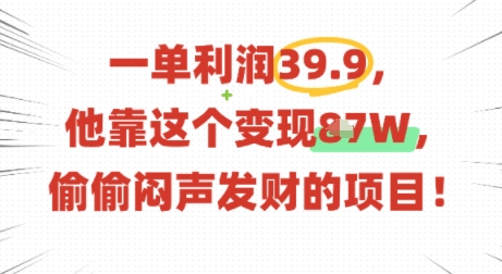 一单利润39.9，有人靠这个变现几十个，偷偷闷声发财的项目-圆梦资源网
