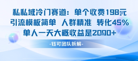 私域冷门赛道单个收费198米引流模板简单人群精准 45%的转化率单人一天大概收益多张-圆梦资源网