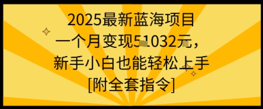 2025最新蓝海项目一个月变现1w+新手小白也能轻松上手【附全套指令】-圆梦资源网