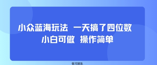 小众蓝海玩法 一天搞了四位数 小白可做 操作简单-圆梦资源网
