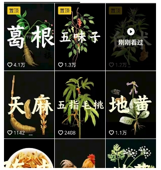 抖音中草药赛道，用AI做中草药故事视频，45条作品涨粉13W，橱窗带货猛猛出单-圆梦资源网